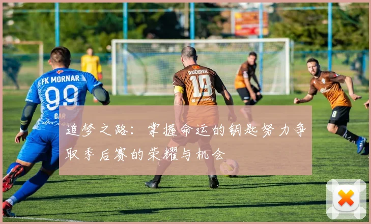 追梦之路：掌握命运的钥匙努力争取季后赛的荣耀与机会