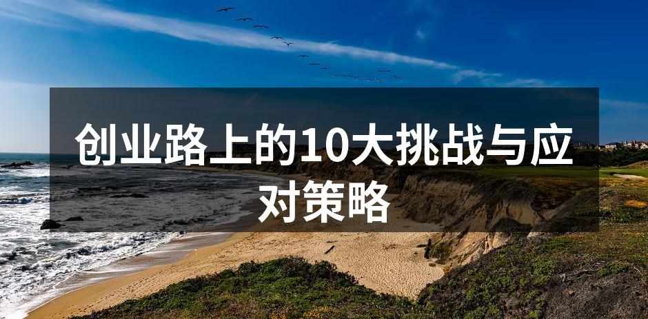 创业路上的10大挑战与应对策略