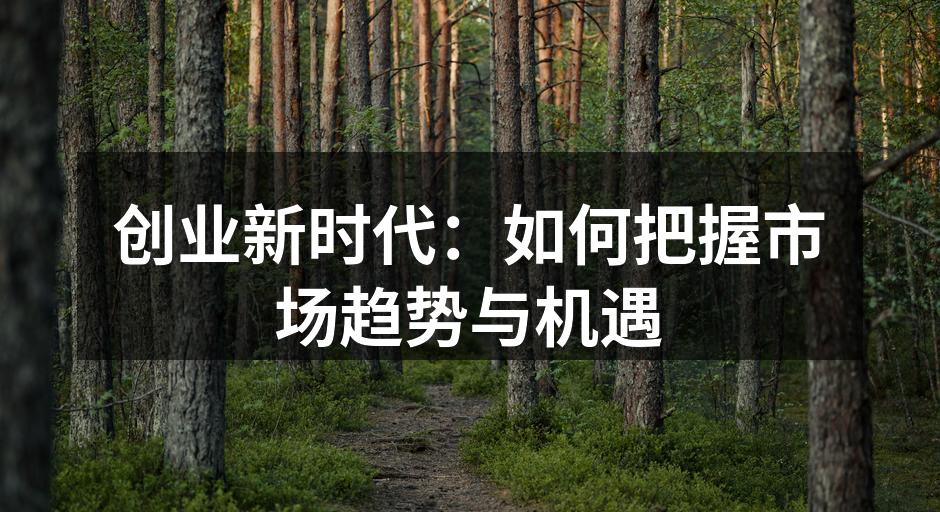 创业新时代：如何把握市场趋势与机遇