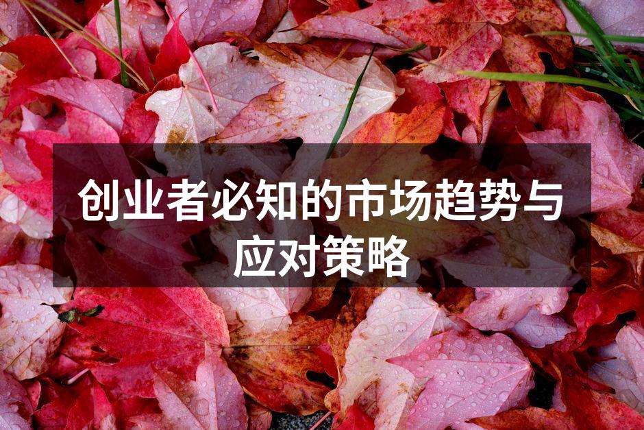 创业者必知的市场趋势与应对策略