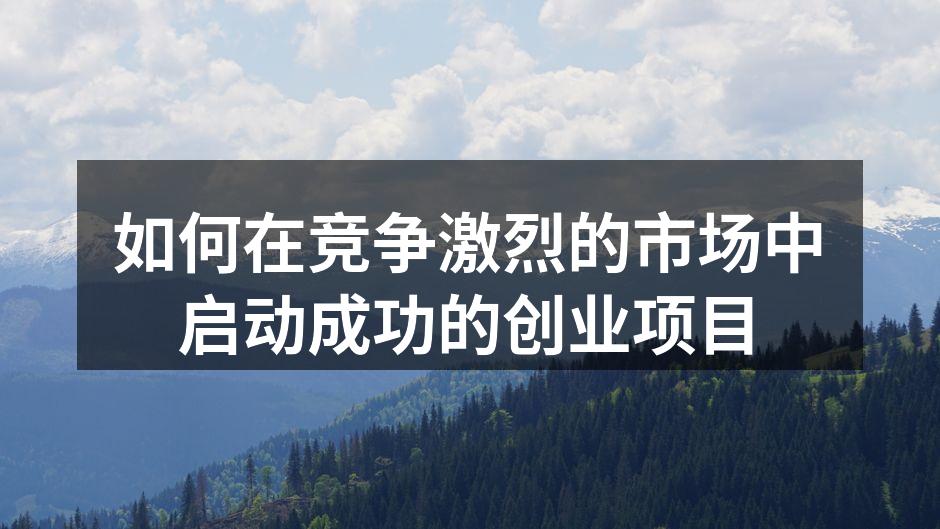 如何在竞争激烈的市场中启动成功的创业项目