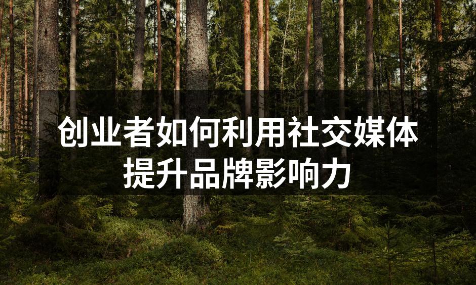 创业者如何利用社交媒体提升品牌影响力